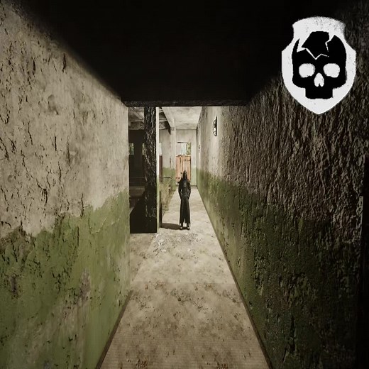 Exploring Stalker Plugg and Anomaly Co-op Gameplay