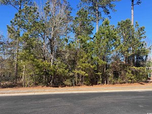 MLS 2501829 - Prince Creek - Bellwood Landing 135 Low Country Loop, Murrells Inlet -  Property for Sale