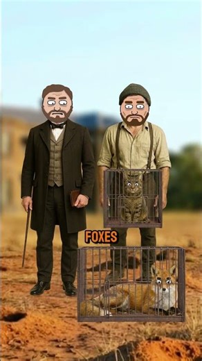 Cute but Catastrophic