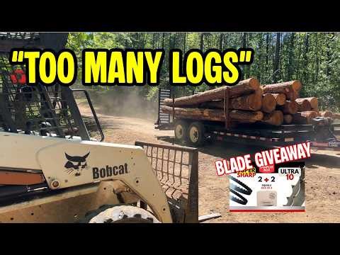 I Was Out Of Logs... Then This Happened