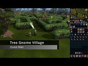 RS3: Tree Gnome Village
