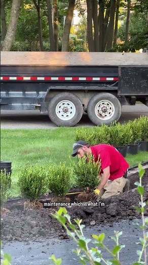Landscaping Makeover With Winter Gem Boxwoods