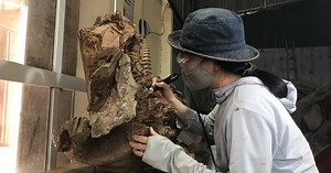 Vietnamese women’s participation in labor force high above global average: ILO