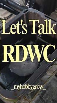 How an RDWC System Works 💧 (Water Circulation Explained) #growlab #rdwc #hydroponics