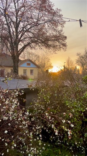 What happens when you stop trying to fix life — and simply allow it to unfold? 🌿 This past week, our Module 1 – Relaxing into Being training has been a journey into awareness. Meditating, moving, dancing, sharing, eating, breathing — being fully here, moment by moment. We’ve explored what it means to say yes to life, to let go of resistance, and to discover presence not as something to achieve, but as what’s already here — in the body, the breath, the words, the meeting. From silence to laughte
