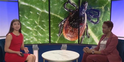 Mid-Michigan Matters: How to safely deal with ticks