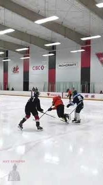 trrrrripp - Hey Stripes! The Micd Up GoPro Hockey Refcam