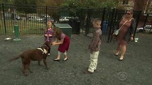 109K views · 2.2K reactions | Four-legged American heroes receive the...