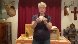 Cotton is king in Texas. Learn how the crop makes its way from field to gin. And how we use cotton every day! Test your knowledge with this guided activity: https://txfb.us/AITCcottonactivity Get more free resources and virtual lessons: https://txfb.us/aitcvirtual | Texas Farm Bureau