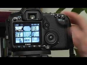 Canon EOS 40D: Index Display