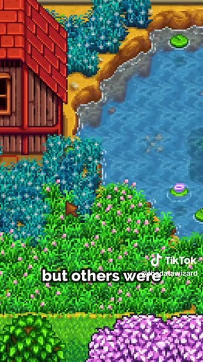 This is how I got ducks to swim on standard farm in Stardew Valley. This applies to both 1.5 and 1.6. #stardewvalley #stardewvalleytips