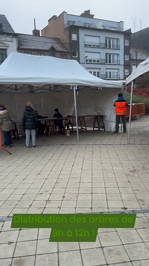 Distribution des arbres au CAM | Cellule Environnement