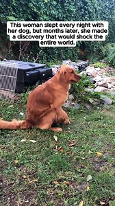 This woman slept everyday night with her dog, but months later, she made a discovery that would shock the entire world. #LearnOnTikTok #truestory #storytime #fyp #foryou | Shocking Story