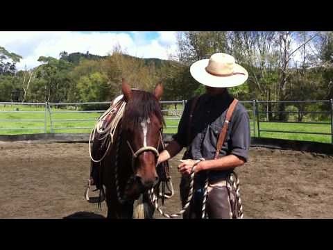 Hackamore (Bosal) Placement