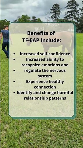 Equine-Assisted Psychotherapy Program