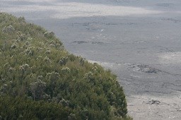 Iron isotopes in lava lakes