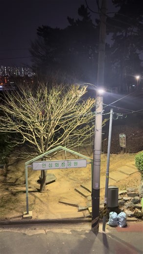 매일 피해망상에 빠져 살아 #fyp