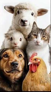 Science Quiz For Grades 1 || Science Quizzes || Easy Science || Science knowledge