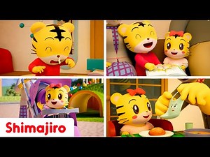 🌟🎶 Shimajiro’s Best Songs of the Year! 🐯💛 | Kids’ Favorite Music Collection ✨ Videos for Kids 🌈