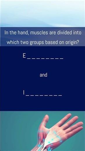 How are the muscles of the hand categorized based in its origin?
