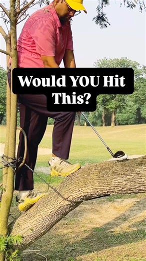 Would you hit this shot ? #golfchallenge #trickshots ⛳️