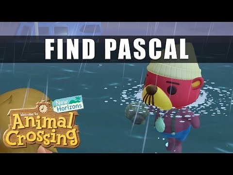 Animal Crossing New Horizons where to find Pascal the otter