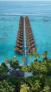 Pure Bliss Over Water 🌊Dive into luxury with a stay in Meeru’s Jacuzzi Water Villas. End your day with a sunset cruise, surrounded by dolphins in their natural habitat. The "...simply MALDIVES" experience at Meeru will take your breath away.🌅 🐬💖 #meeru #meerumaldives #maldives #sunset #watervilla #jacuzziwatervilla #maldivesislands #maldivesresorts #beach #sea #dolphines #sunsetlovers | Meeru Maldives
