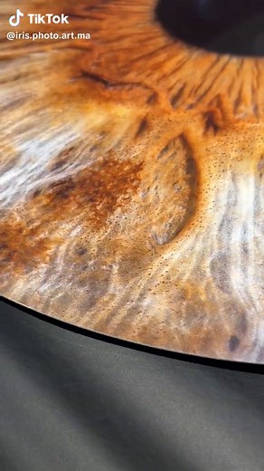 Transform your iris into vibrant art with our Chromaluxe Prints! 👁️✨ Our process involves printing your iris photos onto transfer paper using Fine Art Inkjet pigments, then fusing them onto a 1mm thick aluminum sheet with heat and pressure. Now offering direct shipping to Mauritius, Rodrigues, Madagascar & other islands 🏝️ #irisphotography #iris #irisphotoart #eye #eyephotography #irisphoto #eyecatching #mauritius🇲🇺 #rodrigues #madagascar #island #thingstodoinmauritius #touristattraction #ar