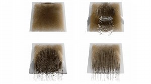 Multi-Scale Model for Simulating Wet Hair