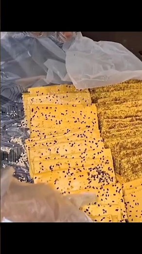 Crispy Crackers Making Process | Factory to Home