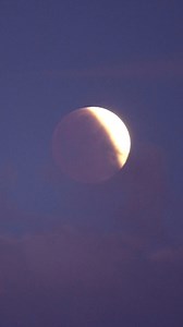 Good morning! Well I leapt out of bed at 5.45am, quickly pulled on a jumper over my pyjama top and a pair of jeans, grabbed a hat, coat and camera and ran (ok that's an exaggeration!) up to the highest point on Pentire to watch the eclipse. The birds were singing, the sky to the East was incredible and I thought the moon was hidden by clouds. But it came out and though my footage is crap it was a beautiful experience to watch. Enjoy! https://buymeacoffee.com/jfkuc3t8ce Copyright Maid in Newquay 
