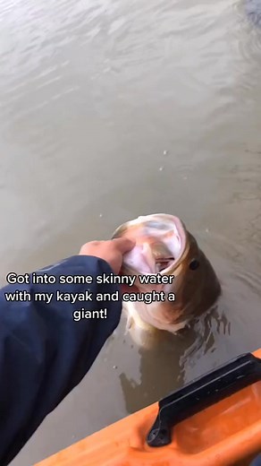 159_This is why I love kayak fishing! #bass #fishing #giant #fish #kayak #kayakfishing #fyp #fishtok | Nature's Narrative