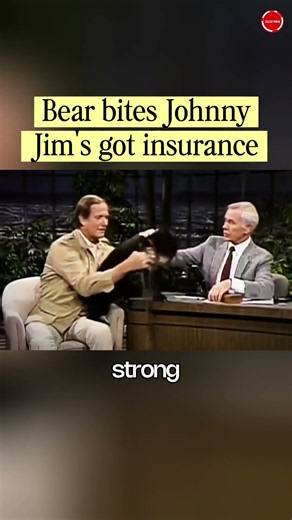 'Jim's got insurance!' Bear bites Johnny Carson 🤭 #shorts #johnnycarson #tonightshow #jimfowler