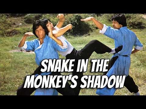 SNAKE IN THE MONKEY'S SHADOW - Kung Fu Theatre - John Chang, Wilson tong.