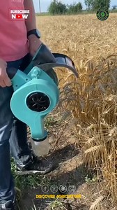 74K views · 242 reactions | Introducing a game-changer for small...