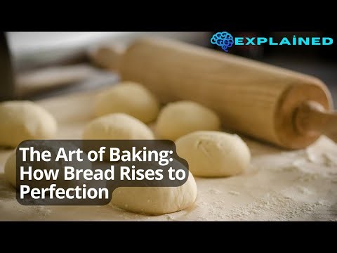 The Art of Baking: How Bread Rises to Perfection