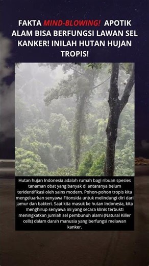 Hutan hujan tropis #edukasi #mindblowingfacts #shortvideo