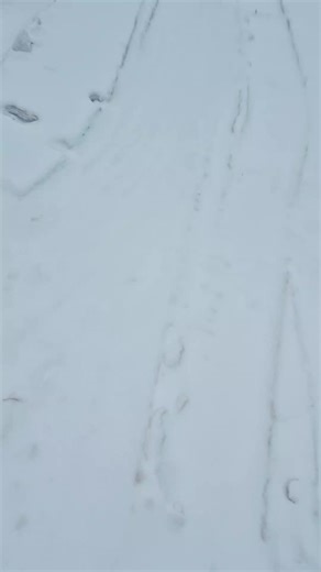 Yoder Farms LLC (@yoderfarmsllc)’s videos with Manure Spreader Monday - The Gen Z Farmer