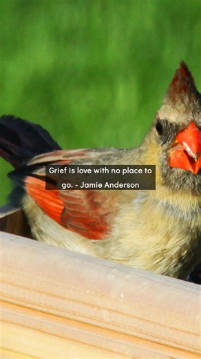 Choosing Grace and Gratitude: Today's Connection: Grief is love with no place to go. (Jamie Anderson) Your grief isn't too much. It's just love that needs somewhere to land. Share your gratitude for what was and what is at our weekly meeting. Comment if grief has taught you about love. #Grief #Love #Gratitude #GraceAndGratitude #Healing