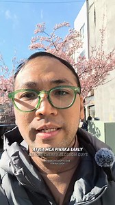 Cold wave ngayon sa Japan but it didn't stop the Atami Sakura to bloom this beautifully. Ang ganda niya pero baka may mas ibubloom pa ito in the coming days.  #sakura #coldwave #JapanTravel #Soral | Soral | Facebook