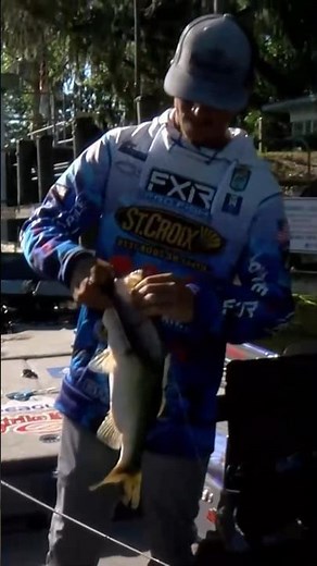 GLIDE BAIT action with Trey McKinney