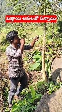 బత్తాయి ఆకులతో ☘️ సన్నాయి చేశాం !! #explore #shortsfeed #shorts