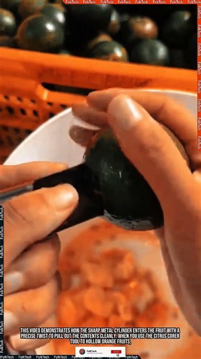 Citrus Corer Tool: Hollow Orange Intact Aesthetic #tool #tools #innovation