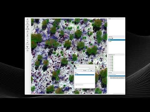 LabelMe: Smarter Duplicate Suppression for Crowded Tree Annotations