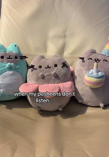 When My Pusheen Cats Don’t Listen