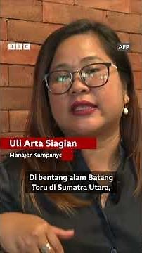 Hamparan kayu gelondongan sisa banjir Sumatra - BBC News Indonesia