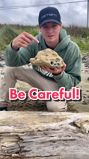 Unveiling Ancient Treasures: Exploring Fossils Found in Nature