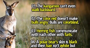 50 Simple Yet Mind-Blowing Facts To Tell Your Kids - Fact Republic