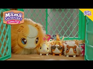 Little Live Pets | Mama Surprise TVC 15