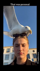 12K views · 211 reactions | The slow approach  | allfails | Facebook